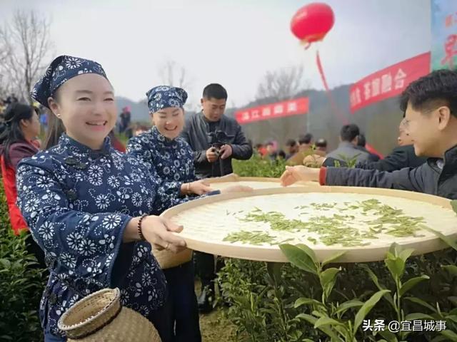 【记清江早茶开园仪式】茶香四溢满画廊 八方客来赏清江